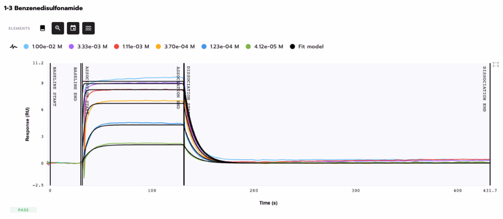 Kinetic characterization 1