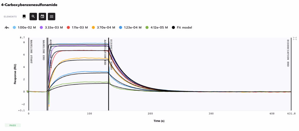 Kinetic characterization 2